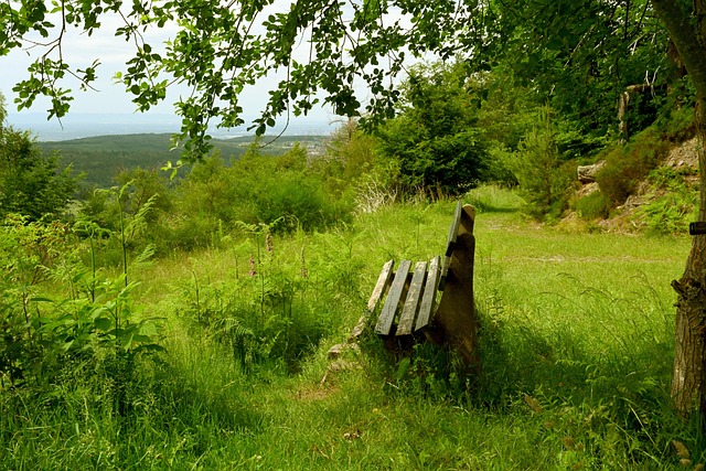 电影而闻名 电影而闻名
