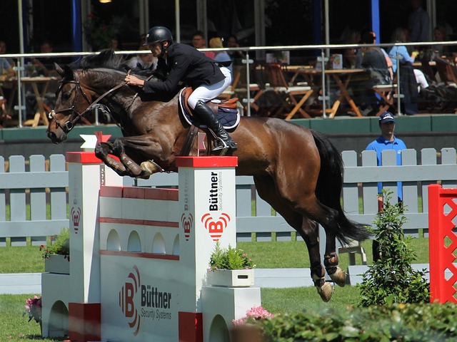 历史与现代 历史与现代