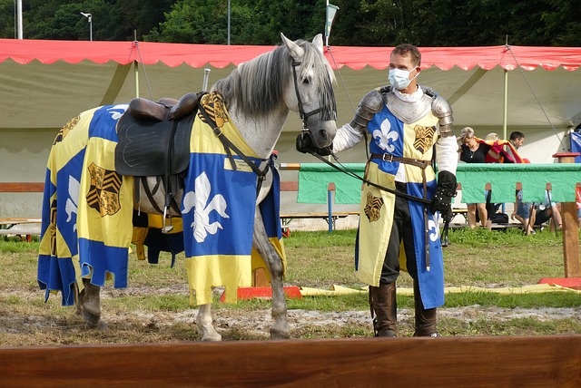 接近巔峰的 接近巔峰的