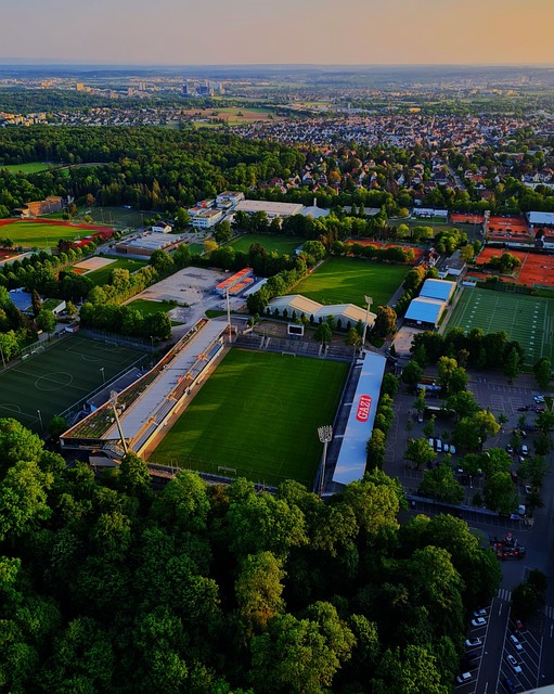 在过去数届 在过去数届